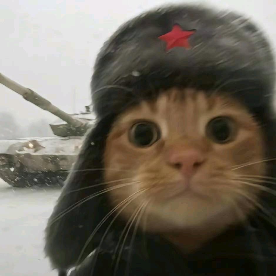 奈桥