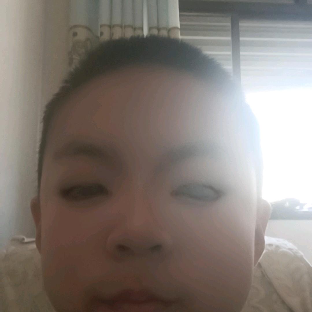 刘彩琦秦宇宁秦宇欣秦旭峰4个人小号