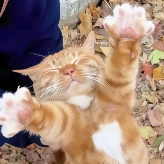 只想要一个拥抱