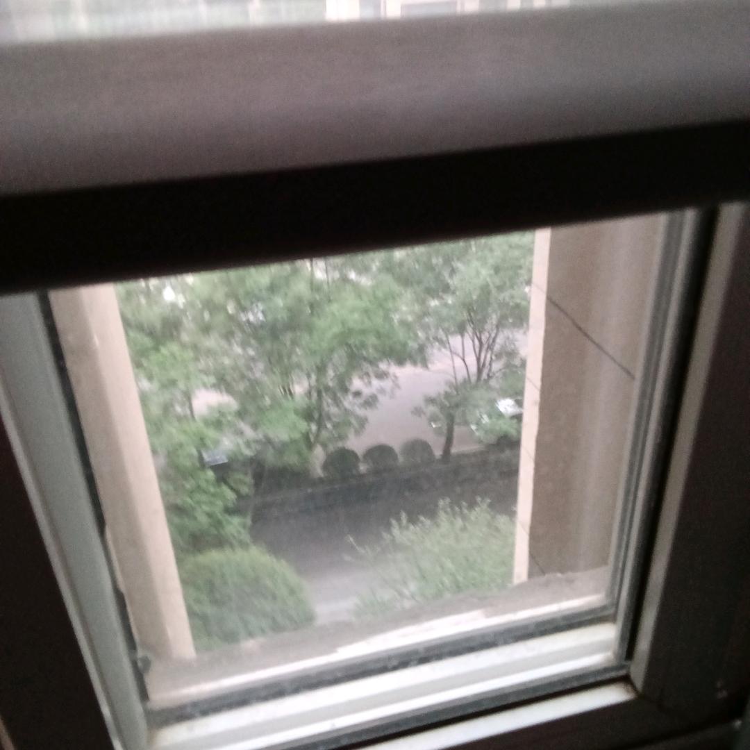 洪奎