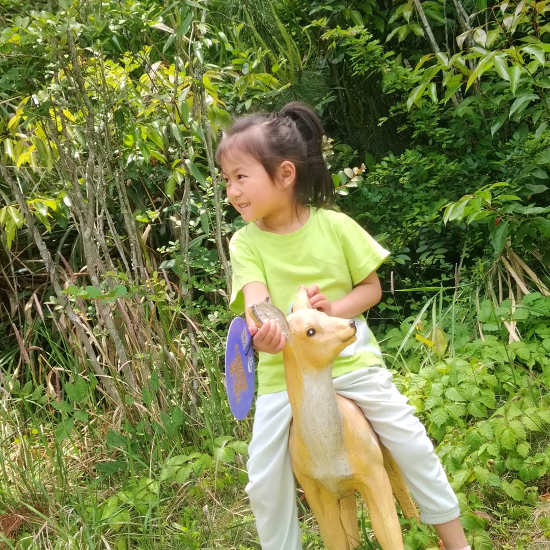 王大贝