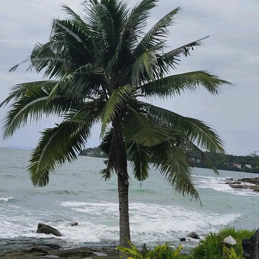 口腔溃疡特效药