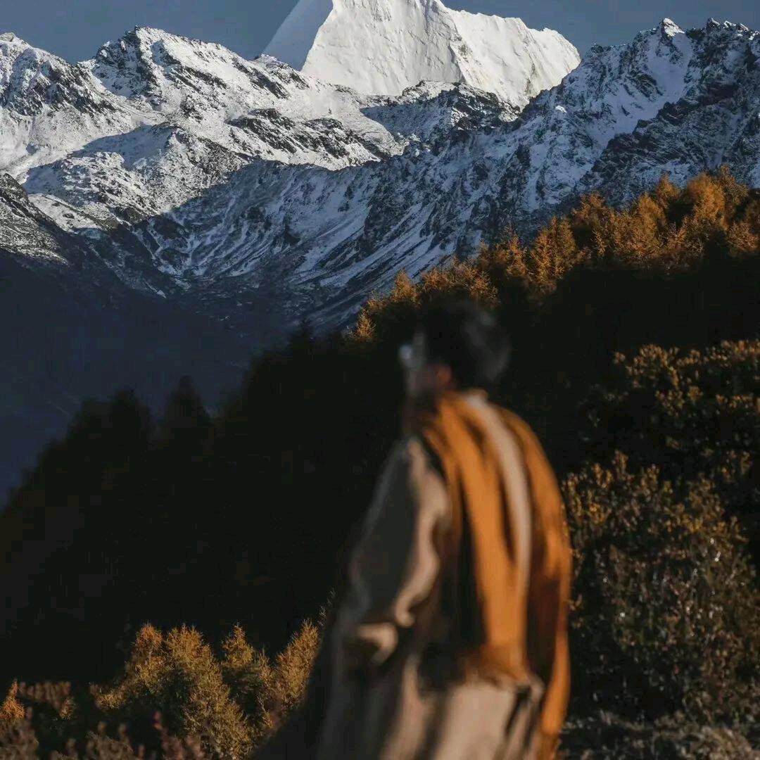 wlvn