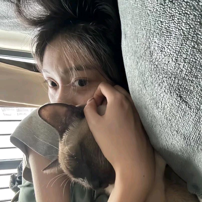 心碎小猫