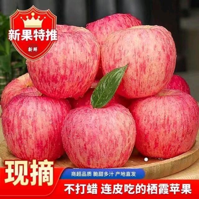 曦顺供应链