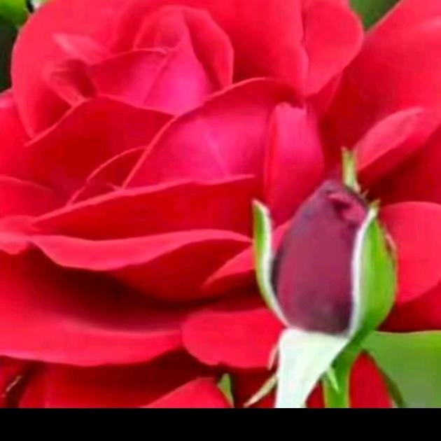 天赐百福专业保洁