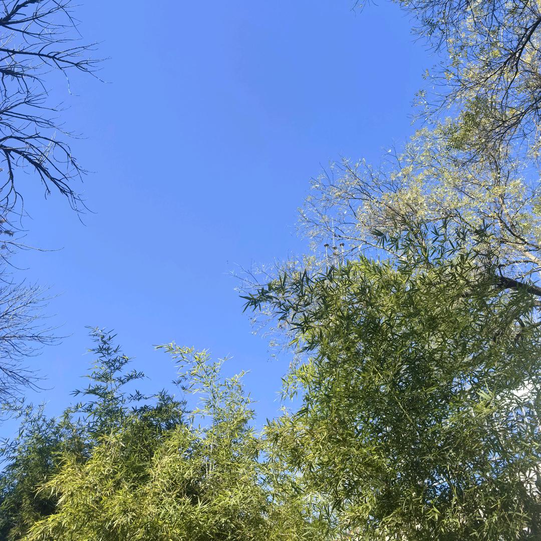 烧饼牛肉汤。。