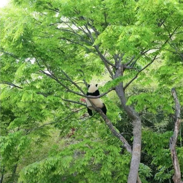 用户4317314559878