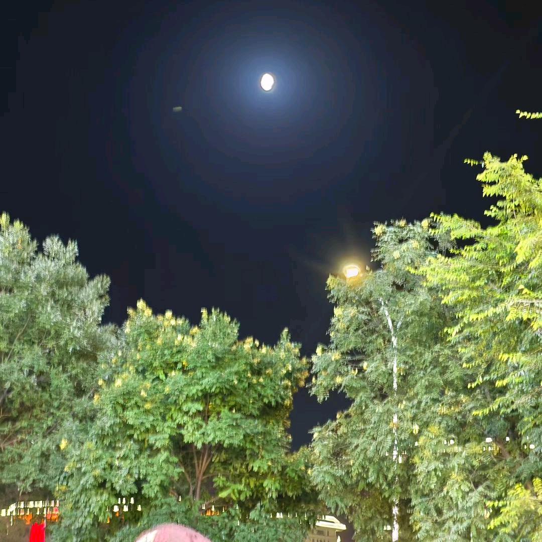 ঞ໊Releaseﻬꦿ