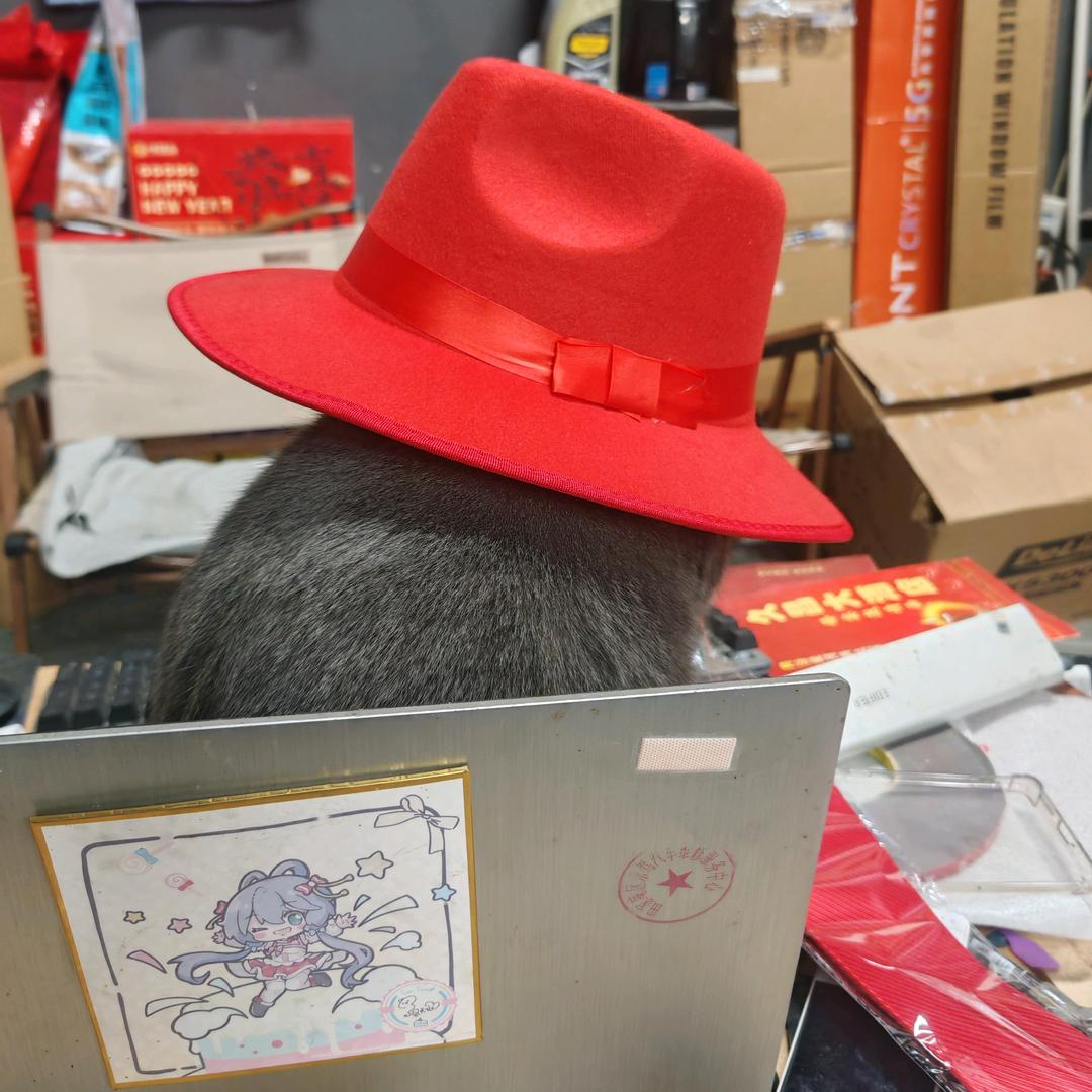 乐驾汽修首席技师，王雨墨