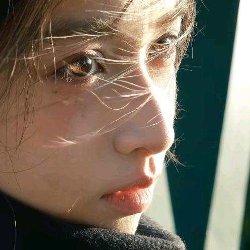 柿柿如意