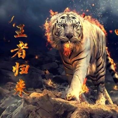 打不死的小强鞋厂