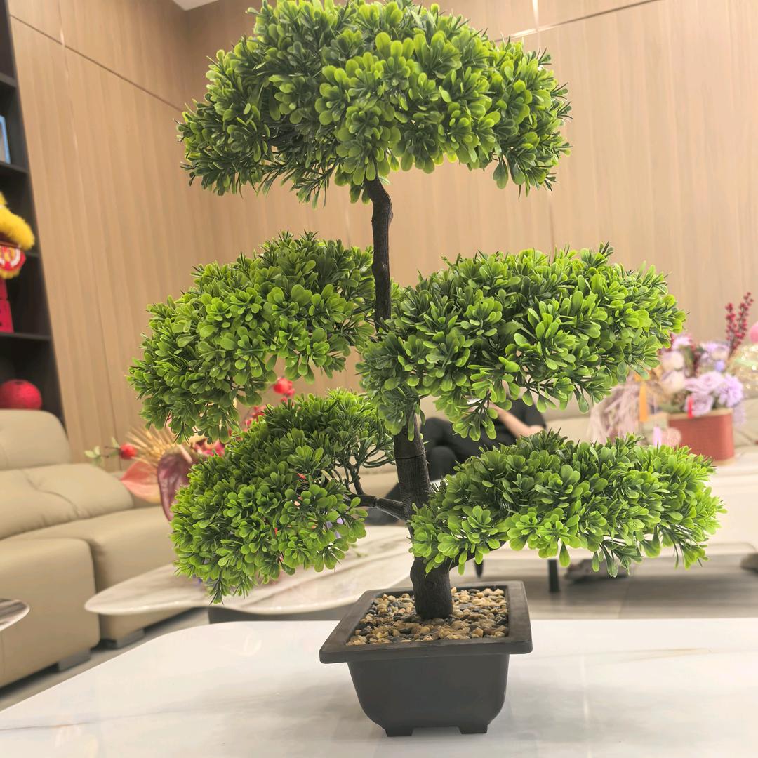 一把裁决定江山