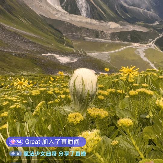 奇妙EN