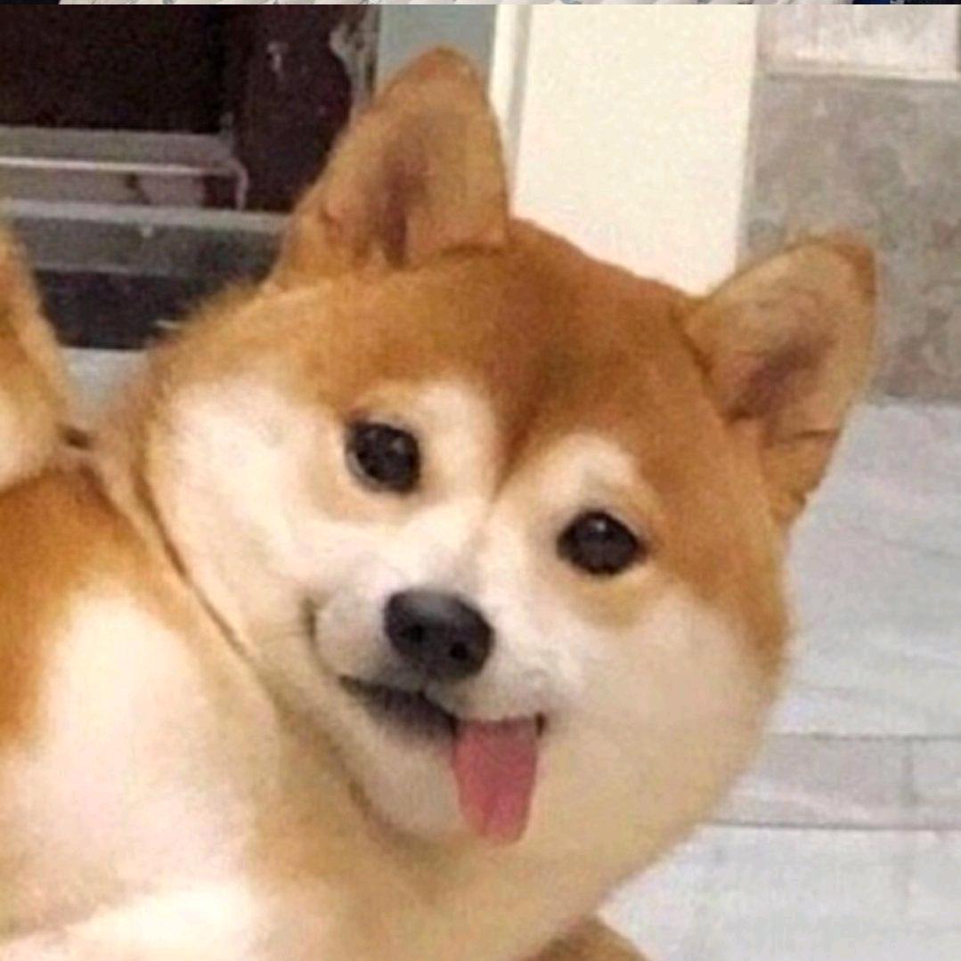 旅游都市病旺（地羊版）