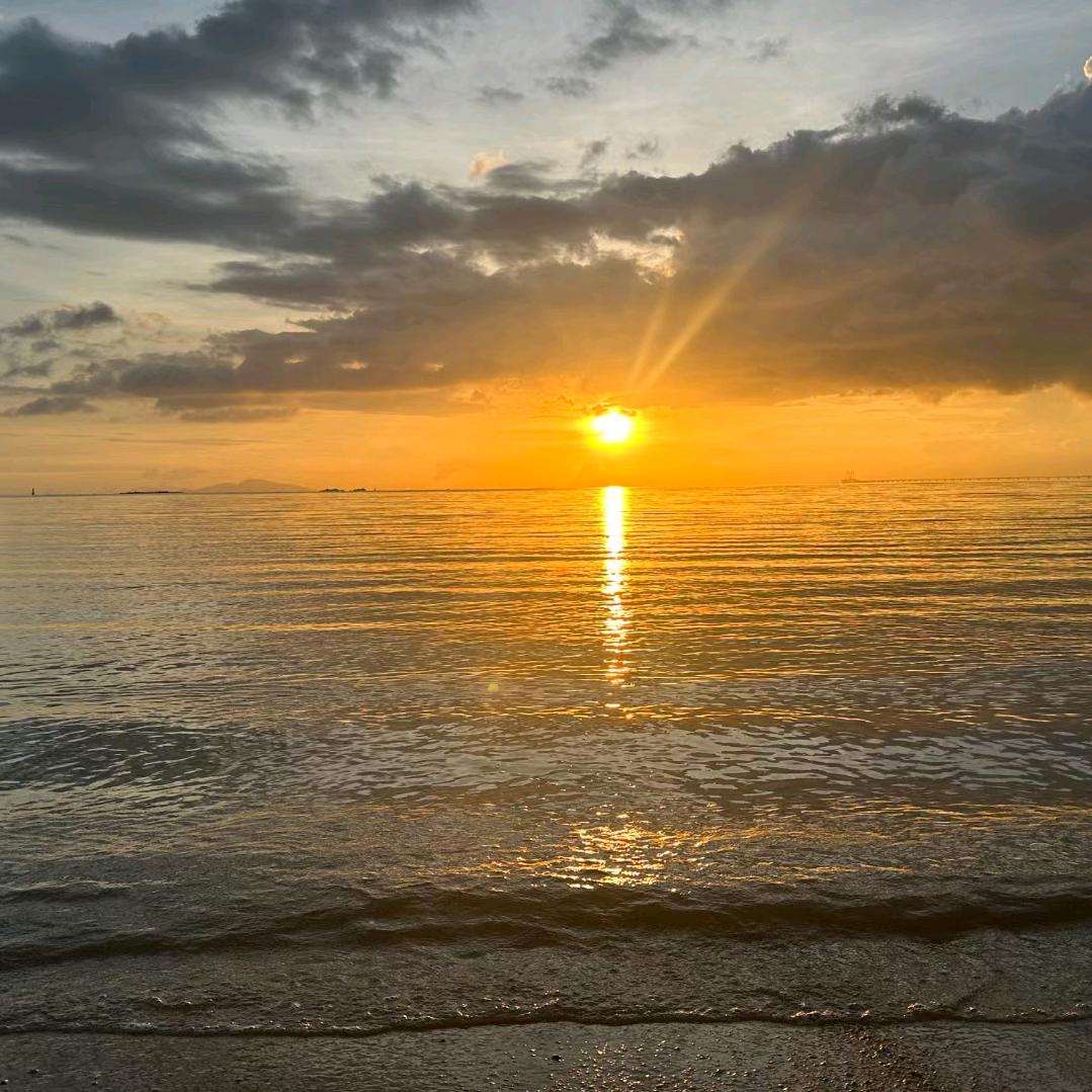 单身也精彩。我自逍遥