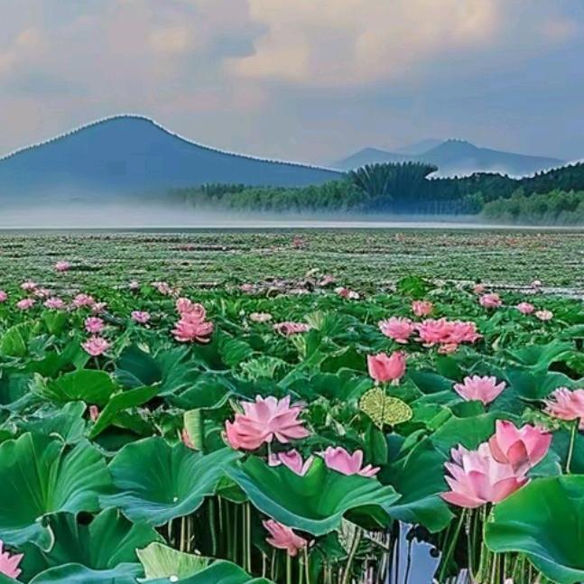 ꧁꫞ 农村 💖 小萧 ꫞꧂