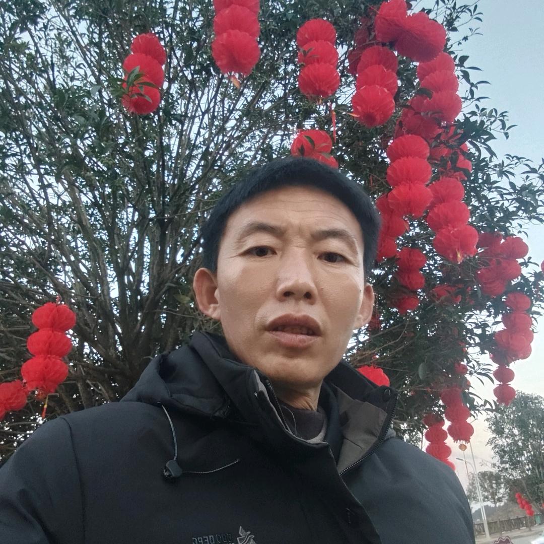 花好月圆（李）