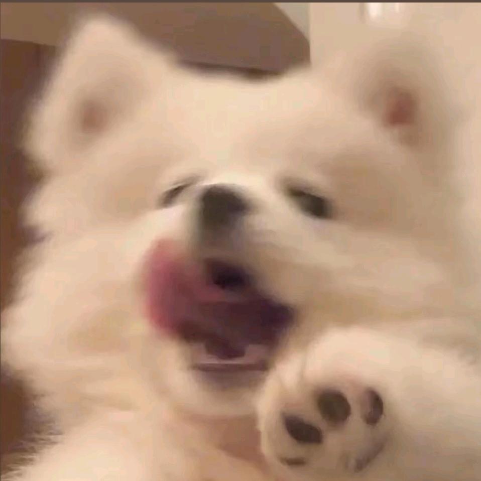 我嘞个豆