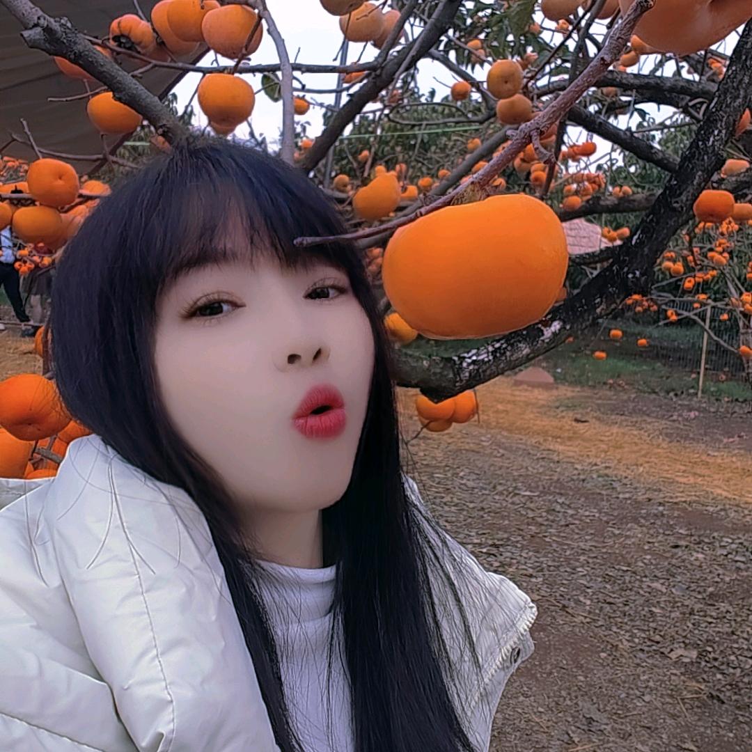 我是信息部，需要找车可以联系我