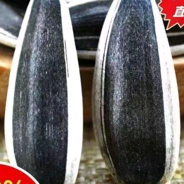 葵瓜籽一号云仓