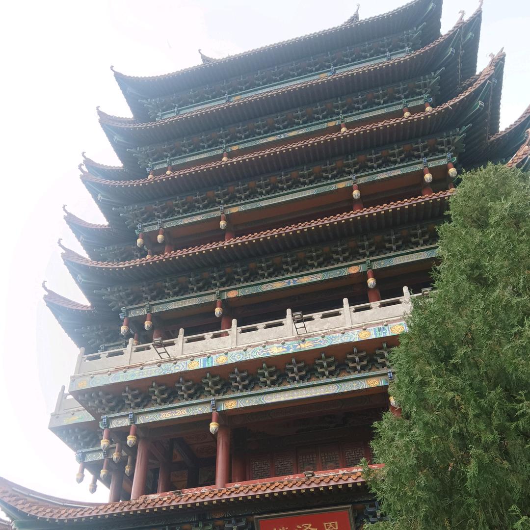 🌻微笑向阳