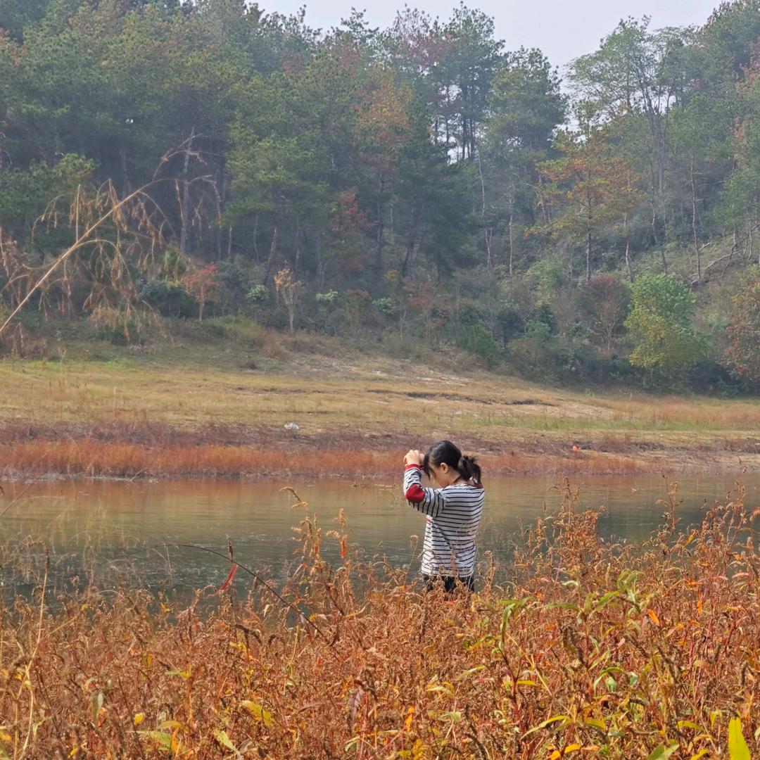老五要听龙哥的
