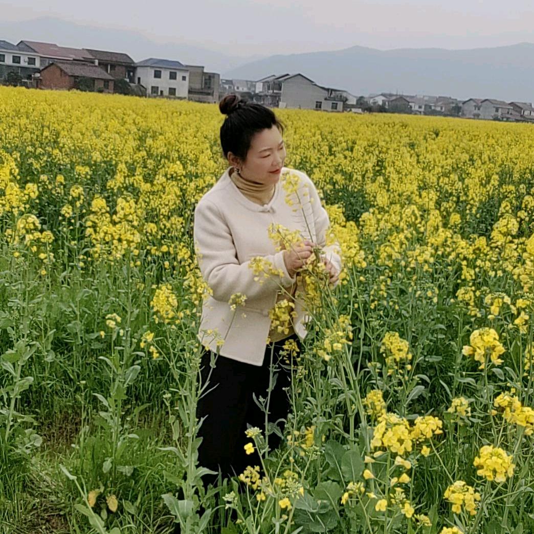 琴姐