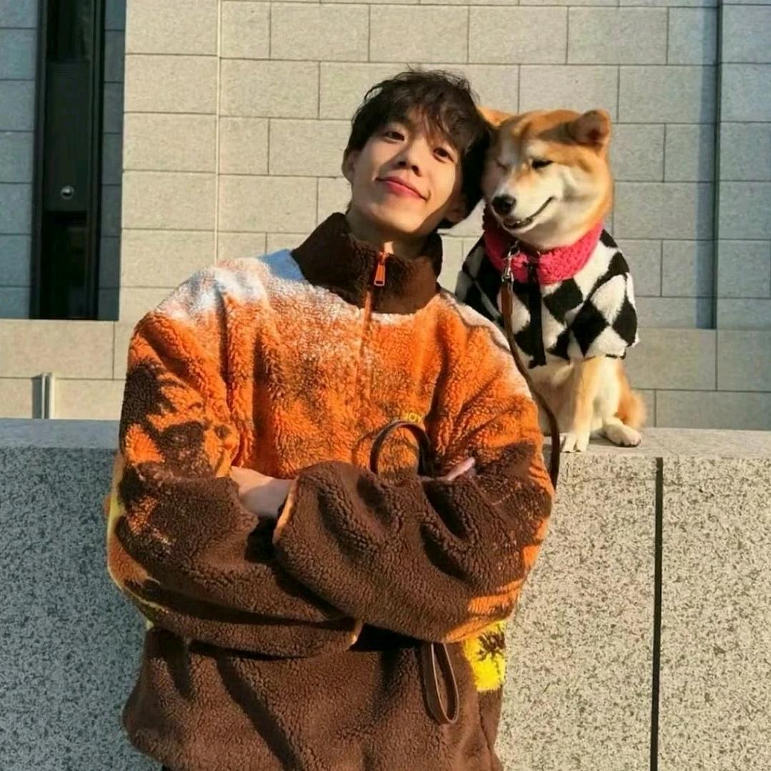 吃饭睡觉打豆豆