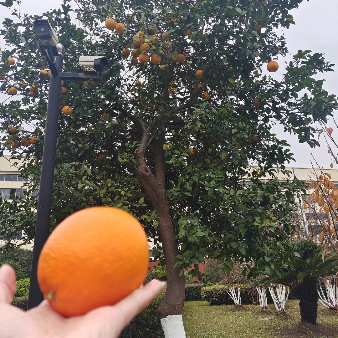 锦上᭄🍒添花᭄࿐