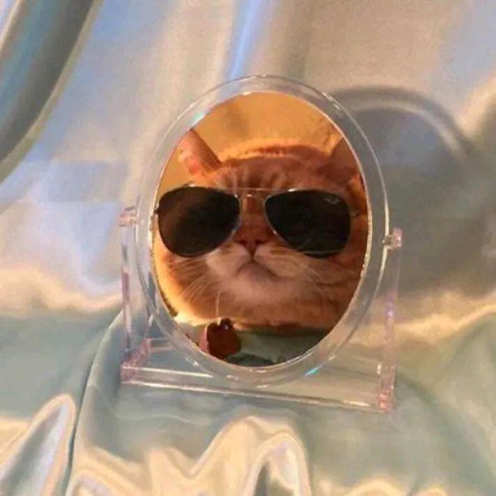 能摸到猫算我输头像
