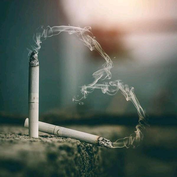 体重有点陈先生