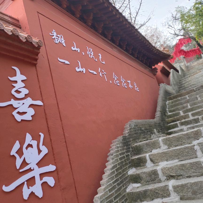 小羊困了