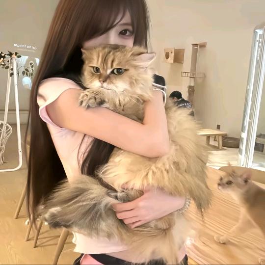 kitty^头像