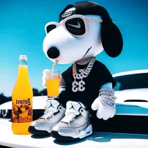 南行的少年大叔