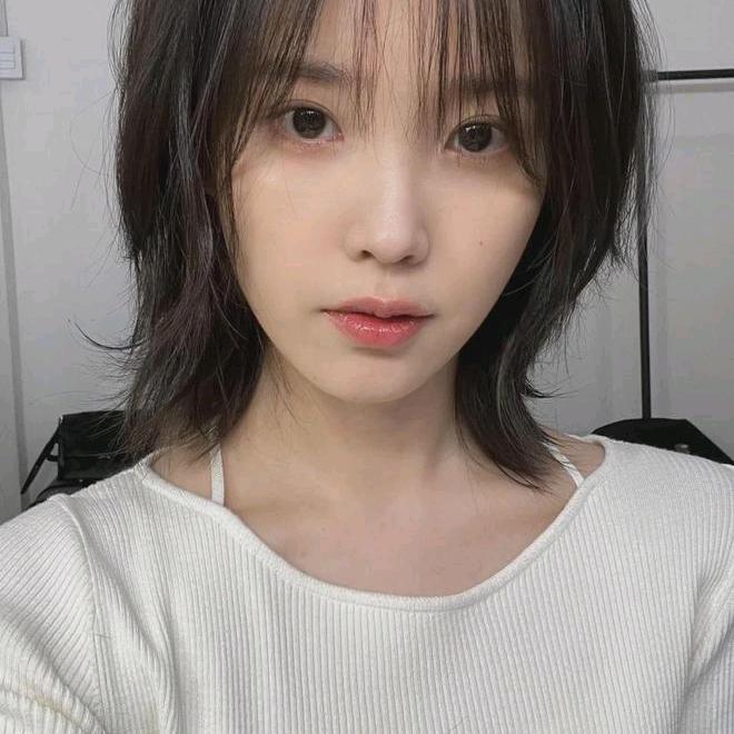 鹅鸭杀—美羊羊
