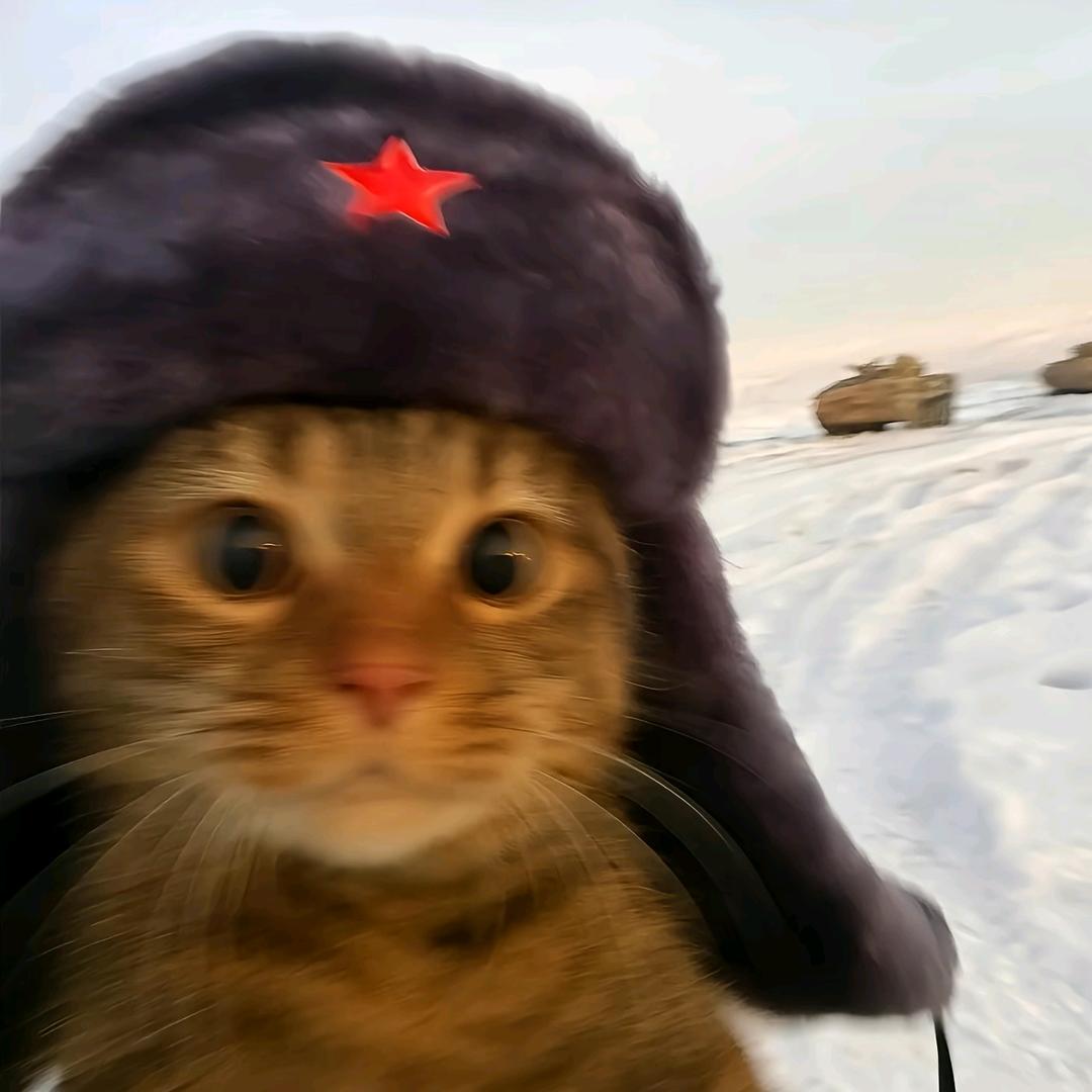 小鑫不画画