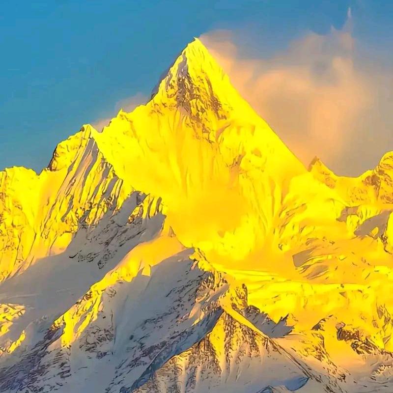 ⚜️金山