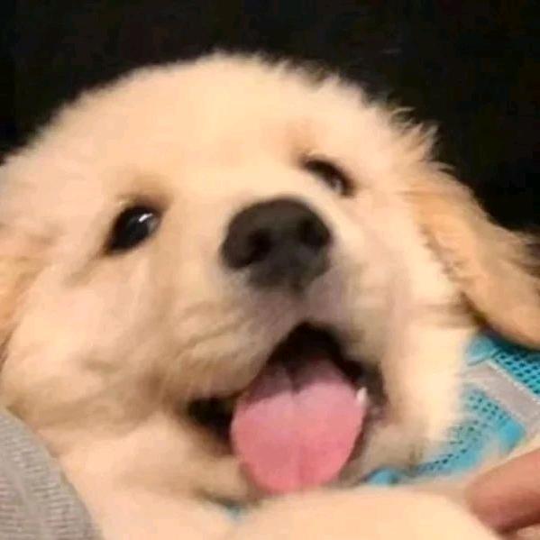 会烧白开水