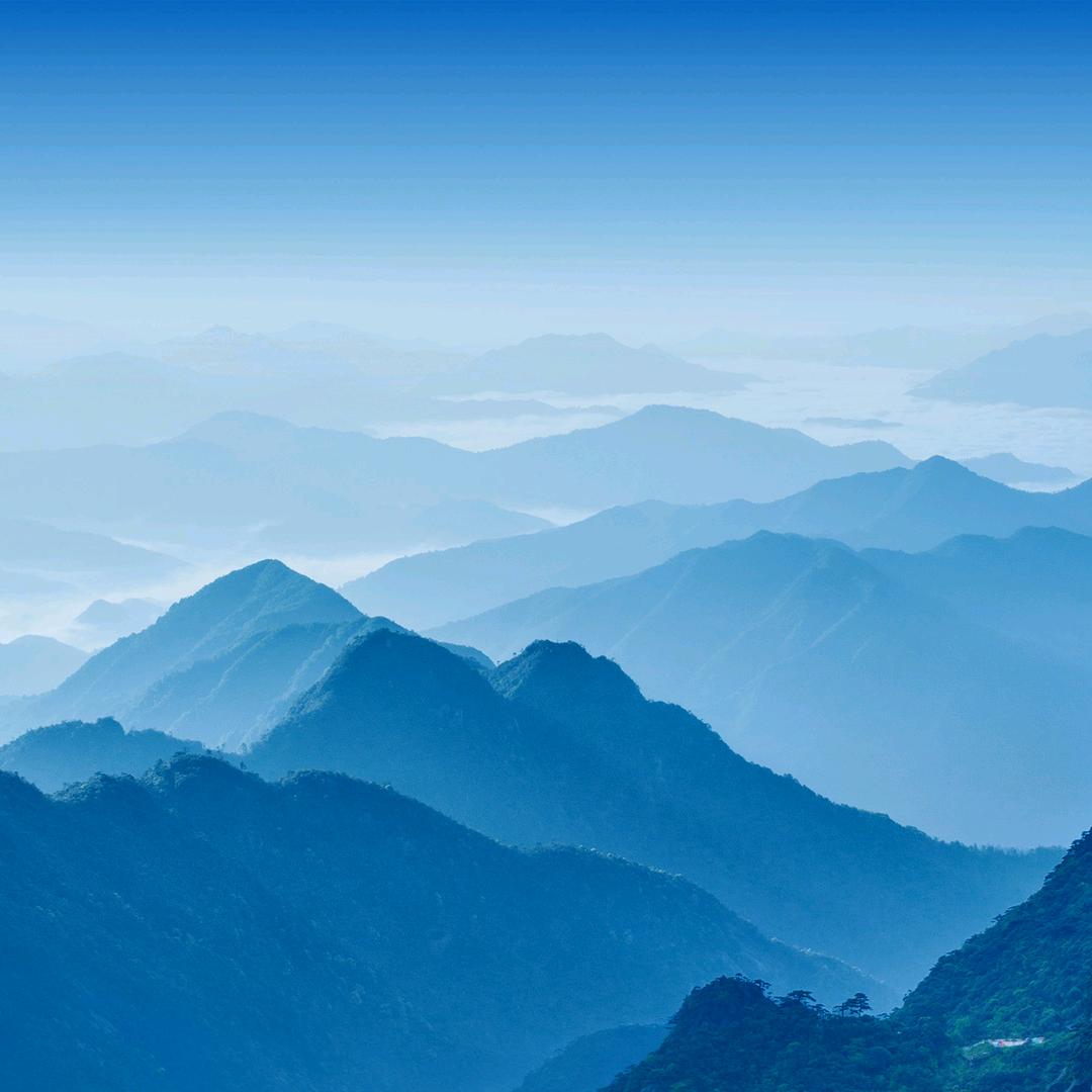 弓长张