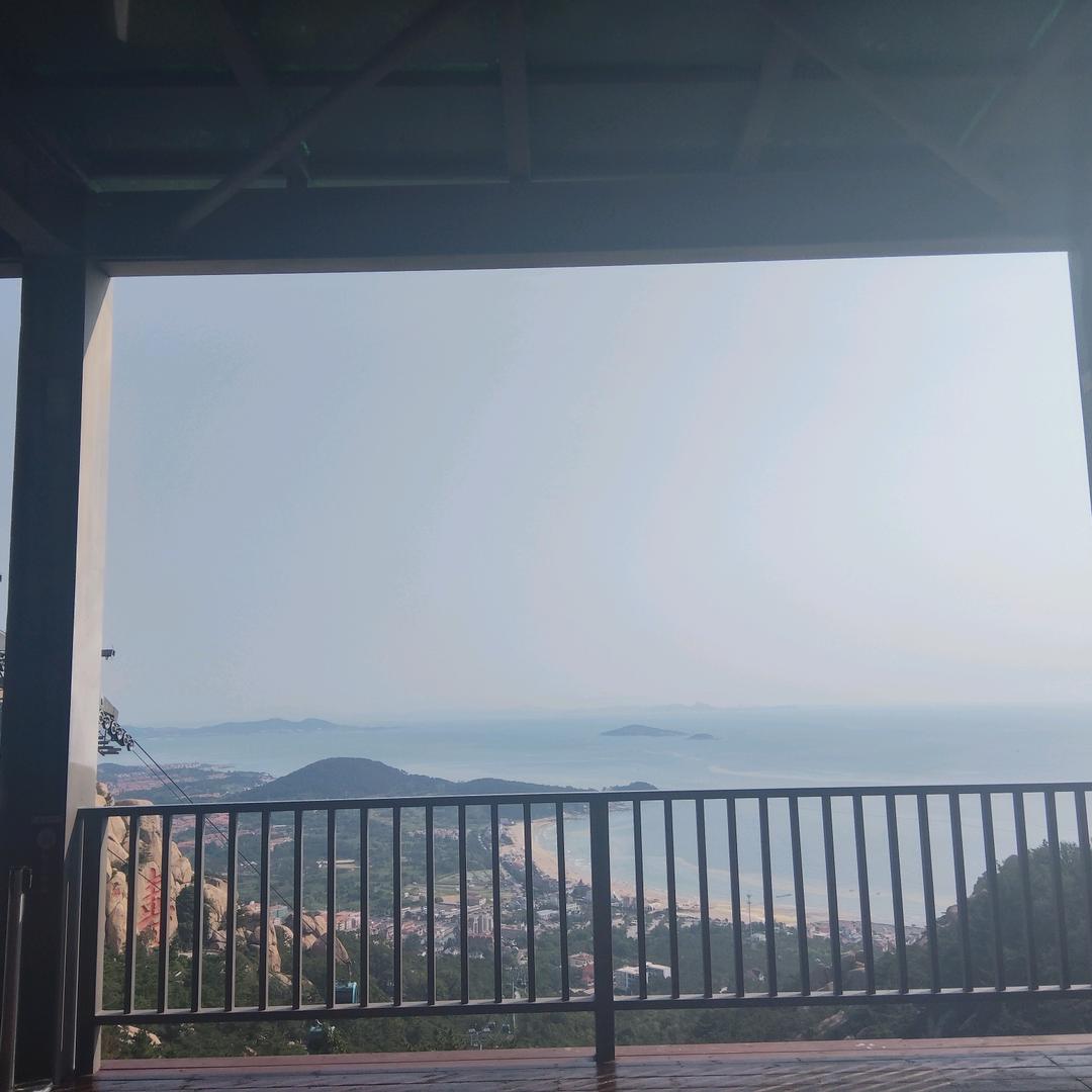 权威。