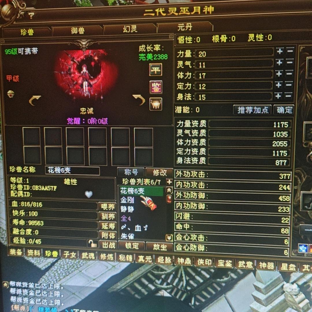 哇哈哈