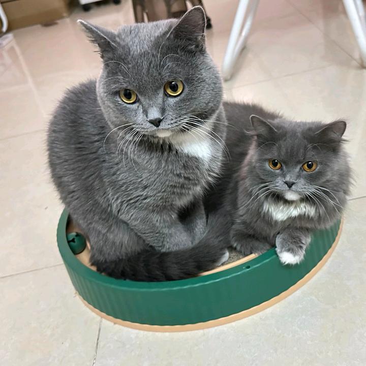 千万 富翁的妈妈