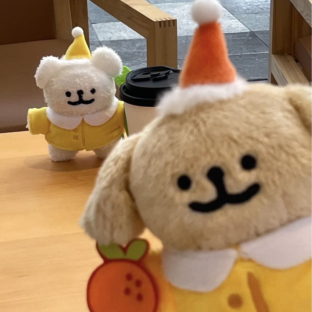 疏寒