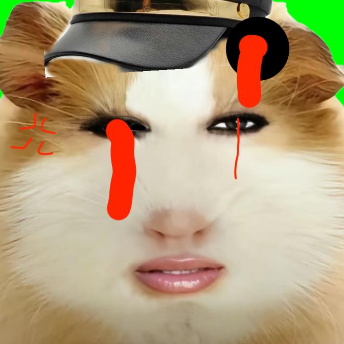 承太郎(为什么还不到2000分)