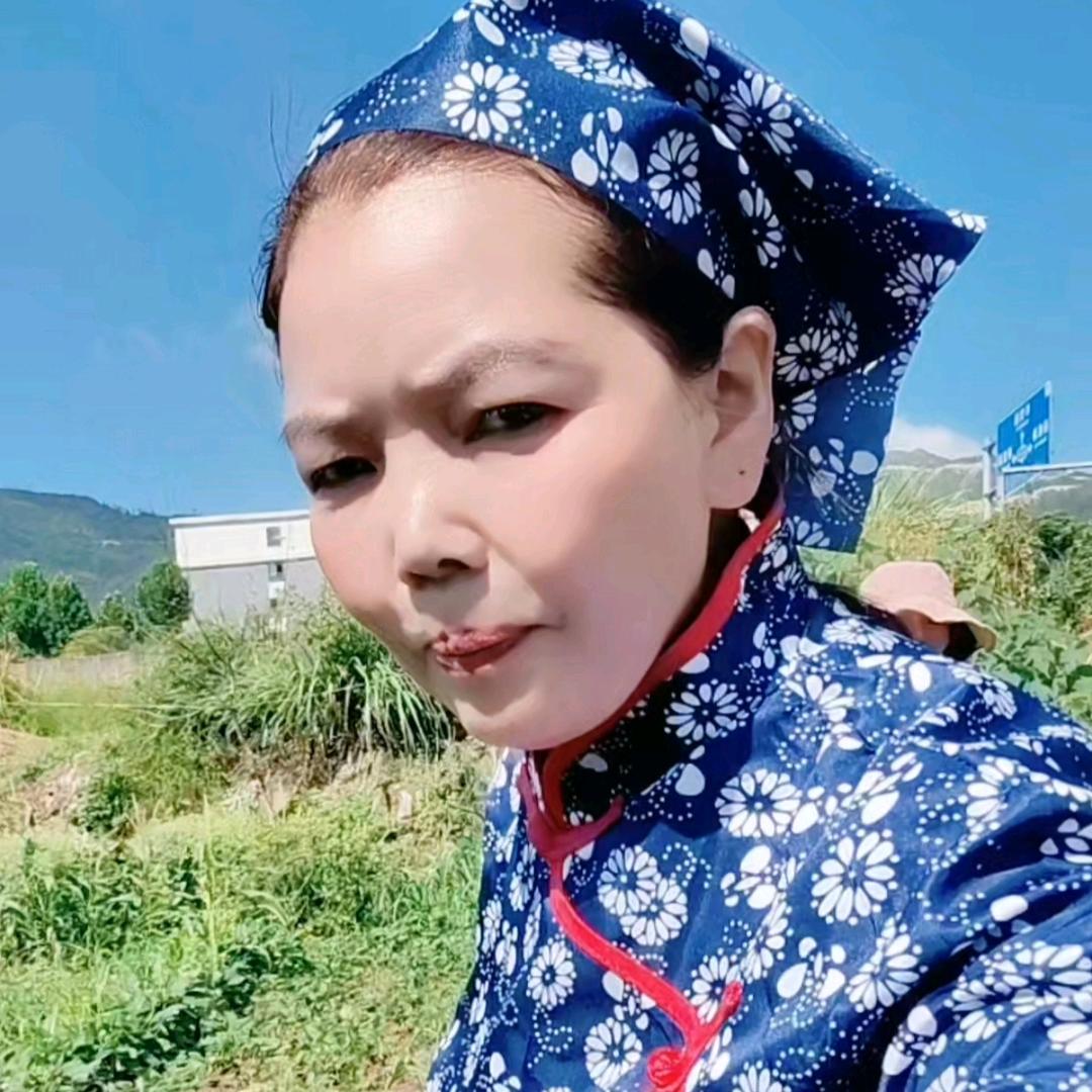 向姐的乡村日记