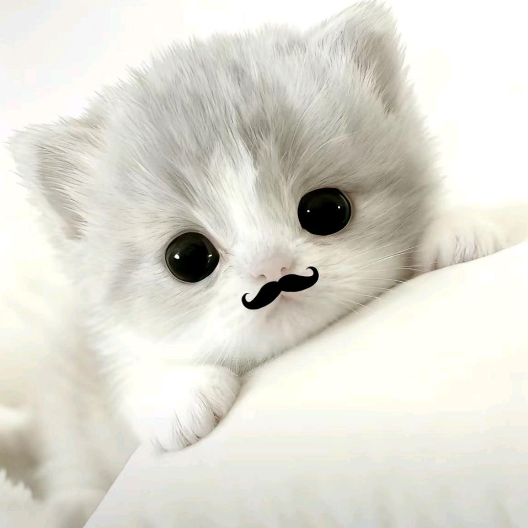 许个愿