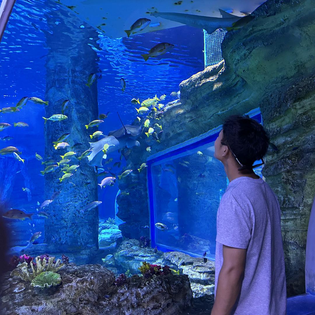 蛮牛机车（宗远）