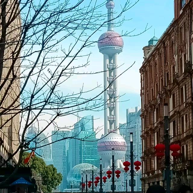 陈掌柜