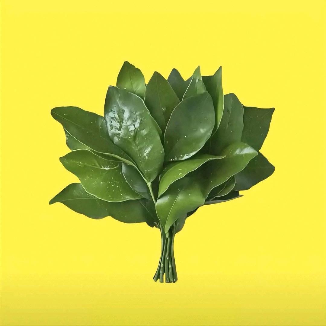 芯芯子